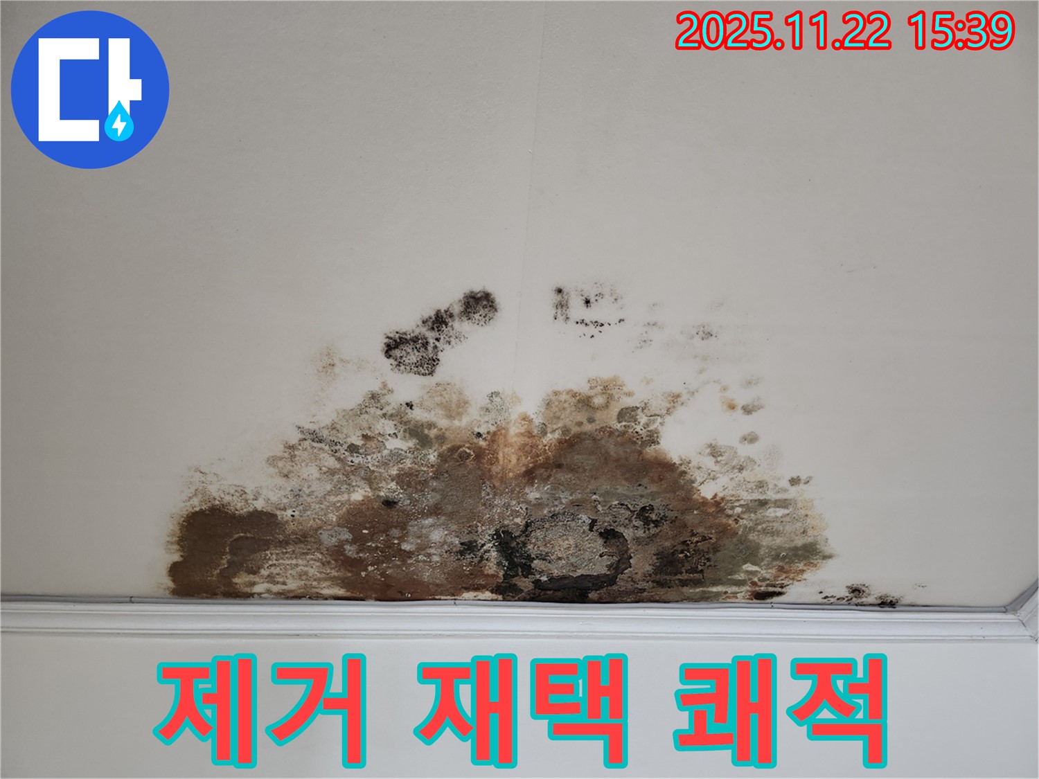 용강동 아파트 - 곰팡이 천장, 곰팡이 제거로 쾌적한 환경에서 편안한 재택근무를