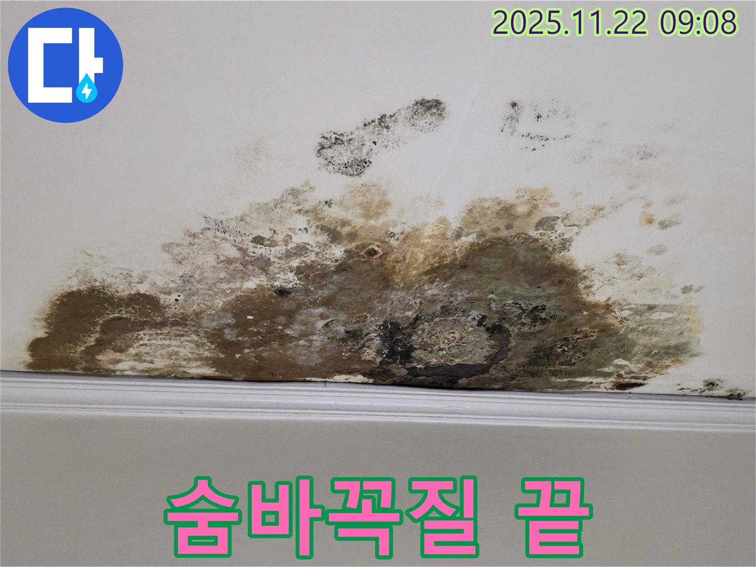 용강동 아파트 누수 - 곰팡이와의 숨바꼭질 끝, 쾌적한 우리집으로 어서 오세요!