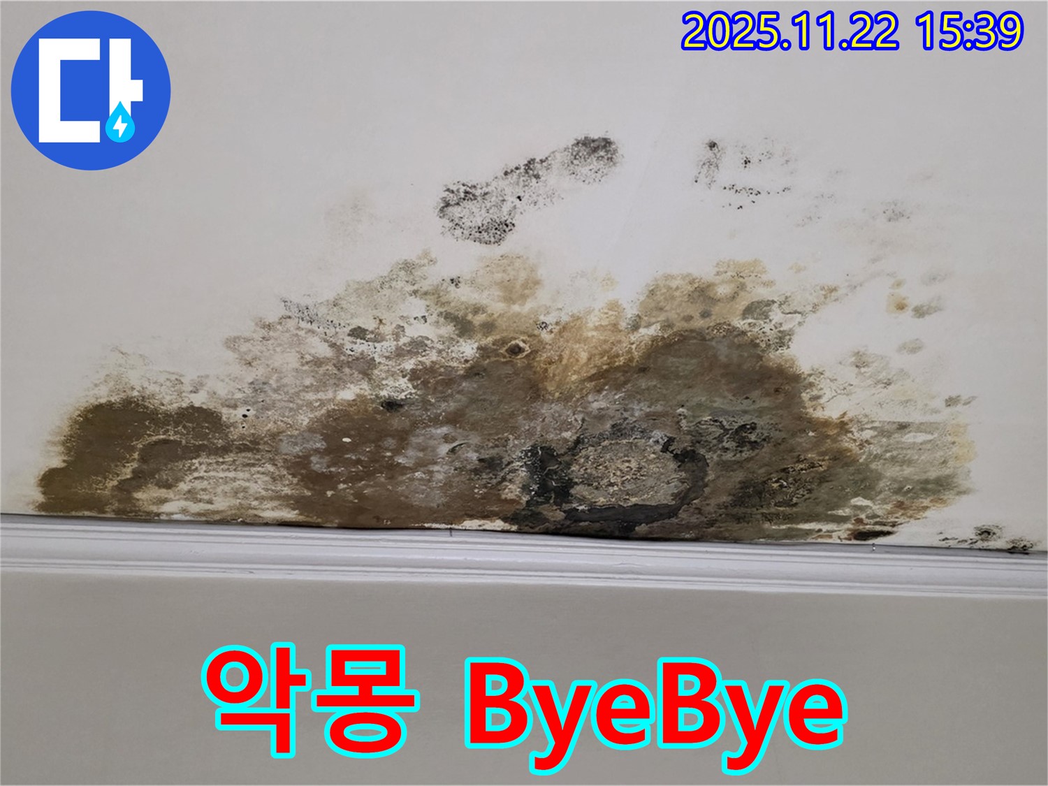 용강동 아파트 누수 - 곰팡이와의 악몽 ByeBye, 쾌적한 공간에서 행복 충전 완료!