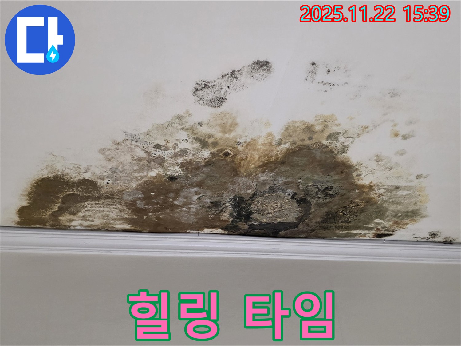 용강동 아파트 누수 - 곰팡이와의 전쟁 완전 종결, 쾌적한 공간에서 힐링 타임!