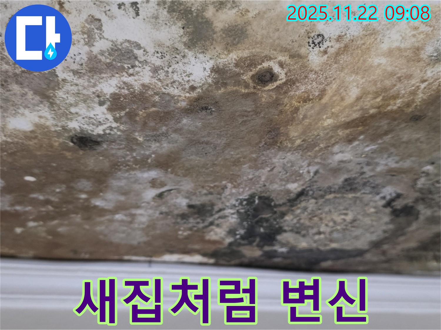 용강동 현대홈타운 - 곰팡이 천장, 누수 해결 후 새집처럼 변신