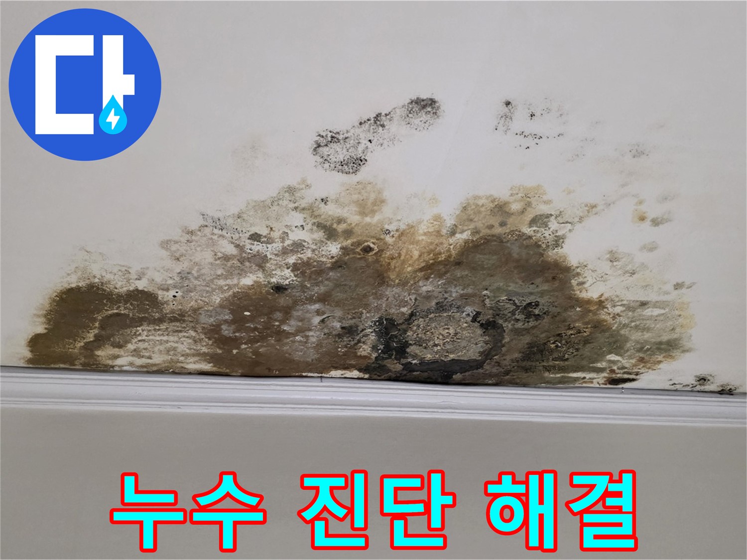 용강동 현대홈타운 아파트 누수 - 곰팡이로 인한 천장 누수 - 정확한 누수 진단으로 해결