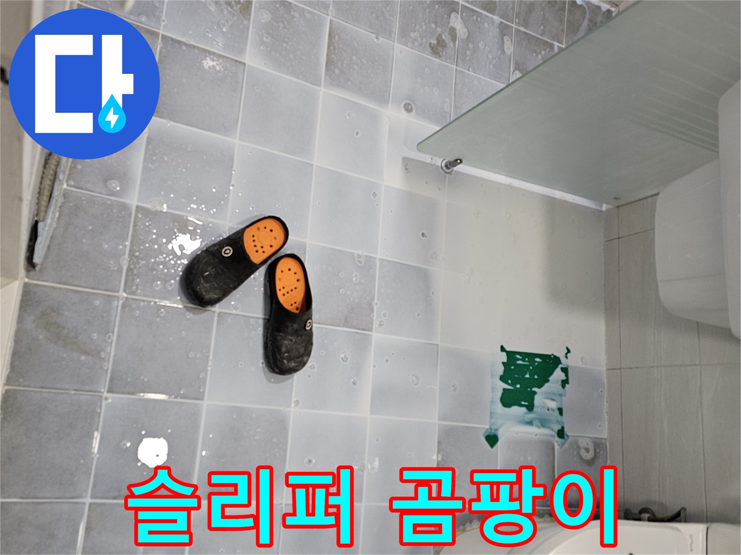 마포구 도화동 현대1차 - 욕실 슬리퍼, 곰팡이 번식 주의! 자주 건조해주세요!