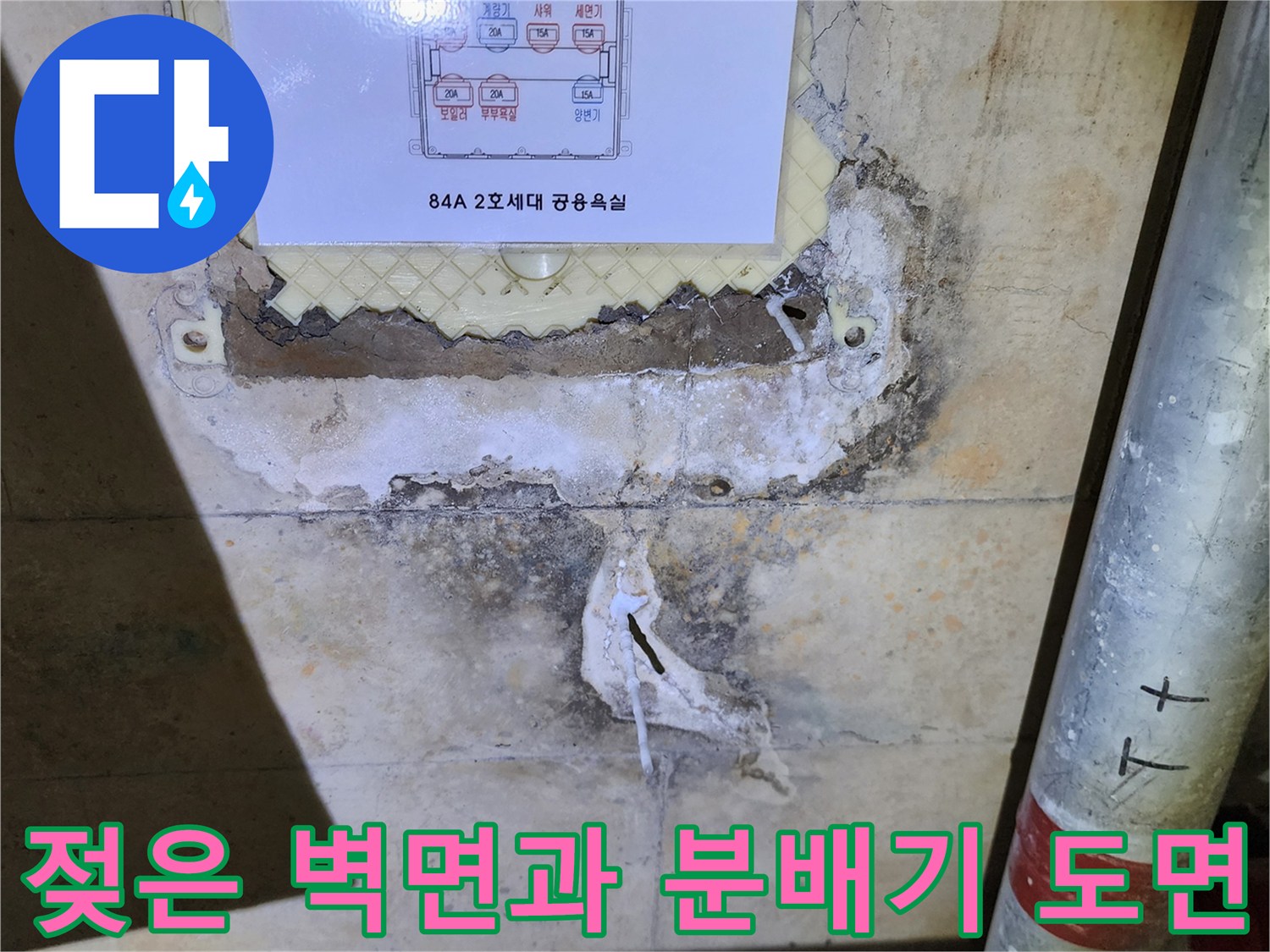 분배기 상세도와 젖은 콘크리트-누수가 의심되는 배관함 내부