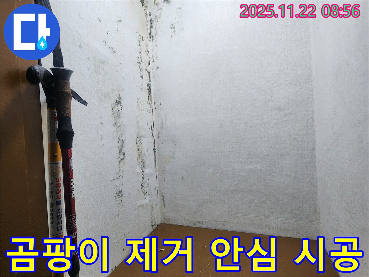 곰팡이 완벽 제거 및 안심 시공 - 누수로부터 안전하게