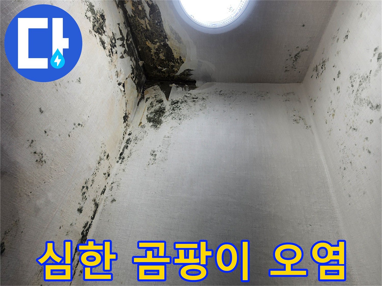 신곡동-다용도실-벽체-내부-곰팡이-증식-상태