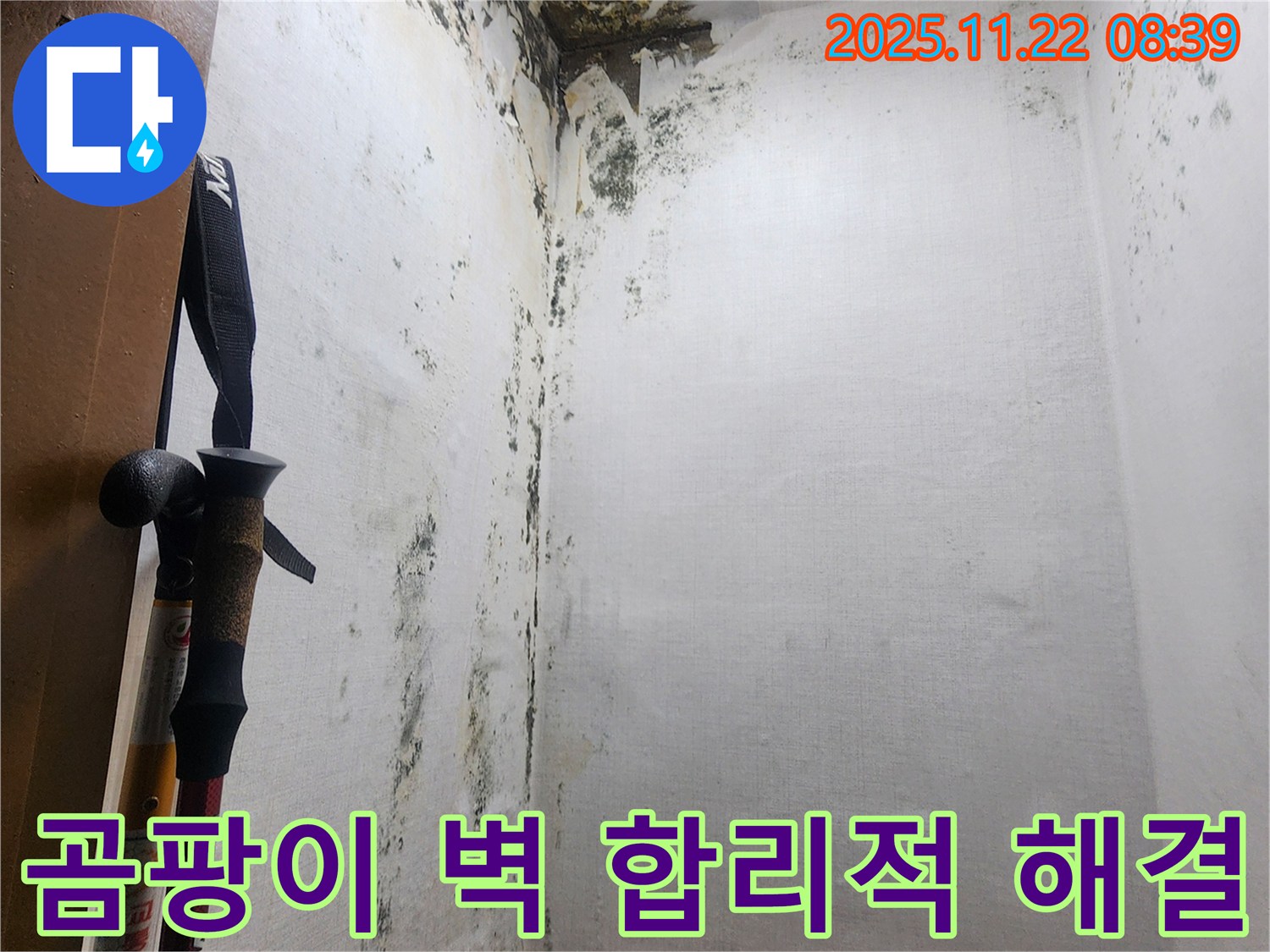 의정부 신곡동 벽 누수 현장 - 곰팡이, 결로, 누수 문제를 한 번에 해결하는 과정을 보여줍니다.