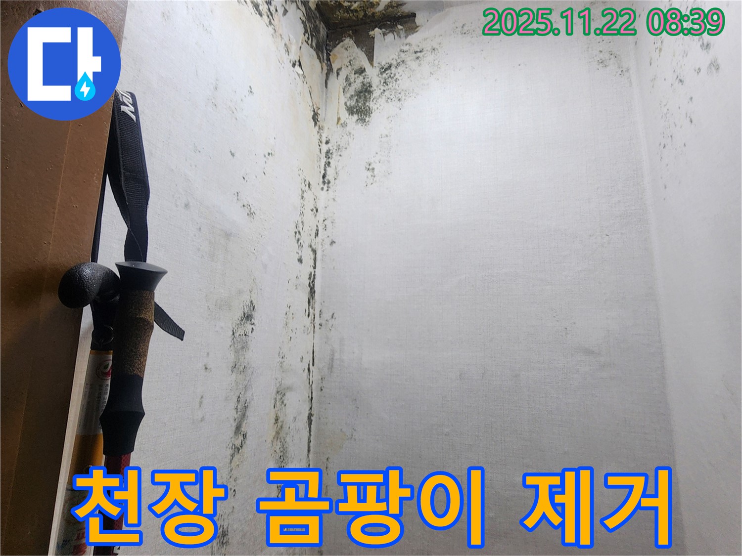 의정부 신곡동 천장 누수 해결 - 곰팡이 제거 후 깨끗해진 천장 모습입니다.