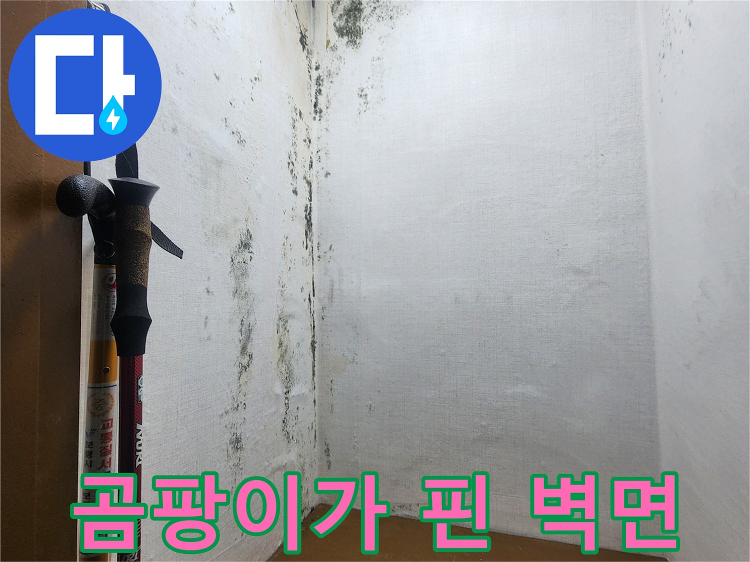 의정부 신곡동 현장의-심하게 부식된-벽면 곰팡이 상태