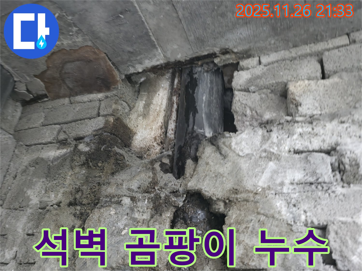서초동 석벽 곰팡이 누수 - 석벽 틈새에 곰팡이가 피어 있는 모습 - 건강에도 해로울 수 있습니다.