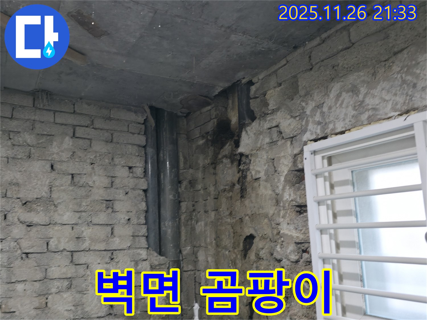 서초동 주택 벽면 곰팡이 - 누수로 인한 곰팡이 발생 상태 확인