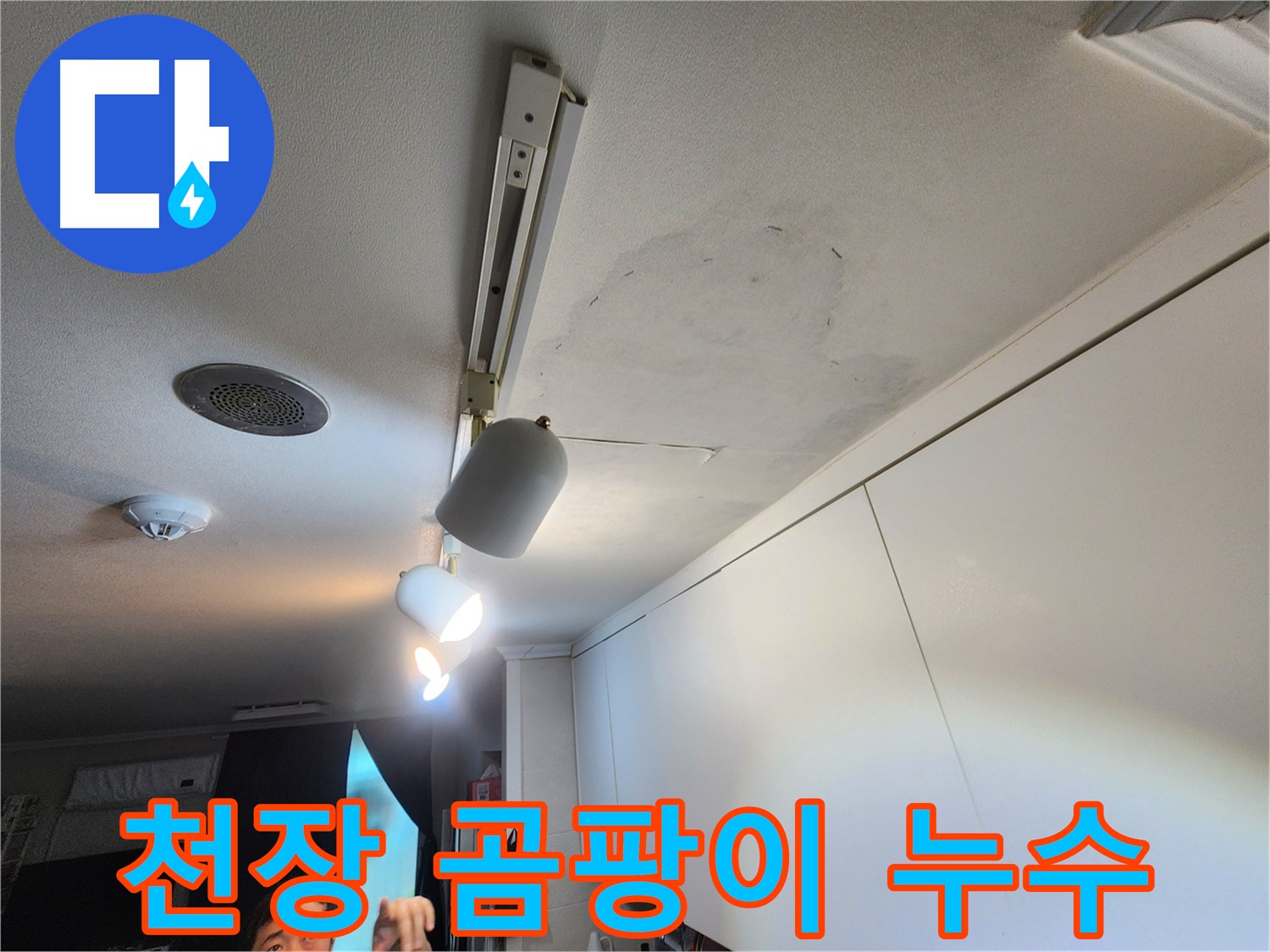 공릉2단지 아파트 천장 누수 - 곰팡이로 인한 누수 피해 확인 - 꼼꼼한 점검