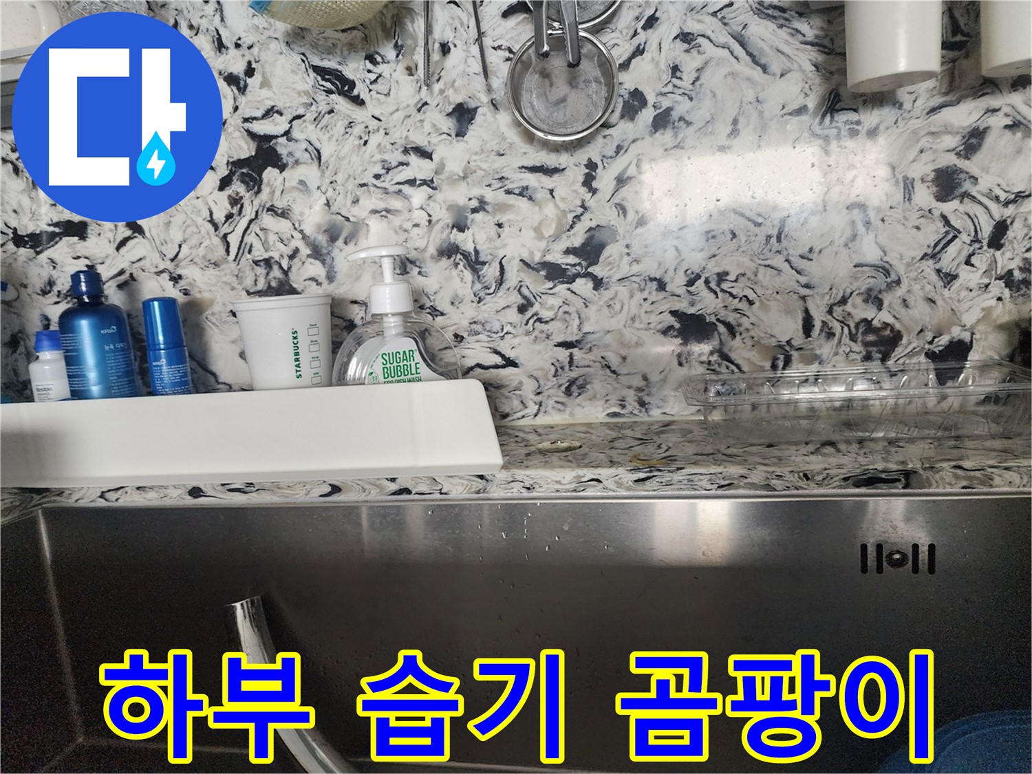 싱크대 하부 습기 및 곰팡이 - 분당구 대장동 주택에서 발생한 문제 해결