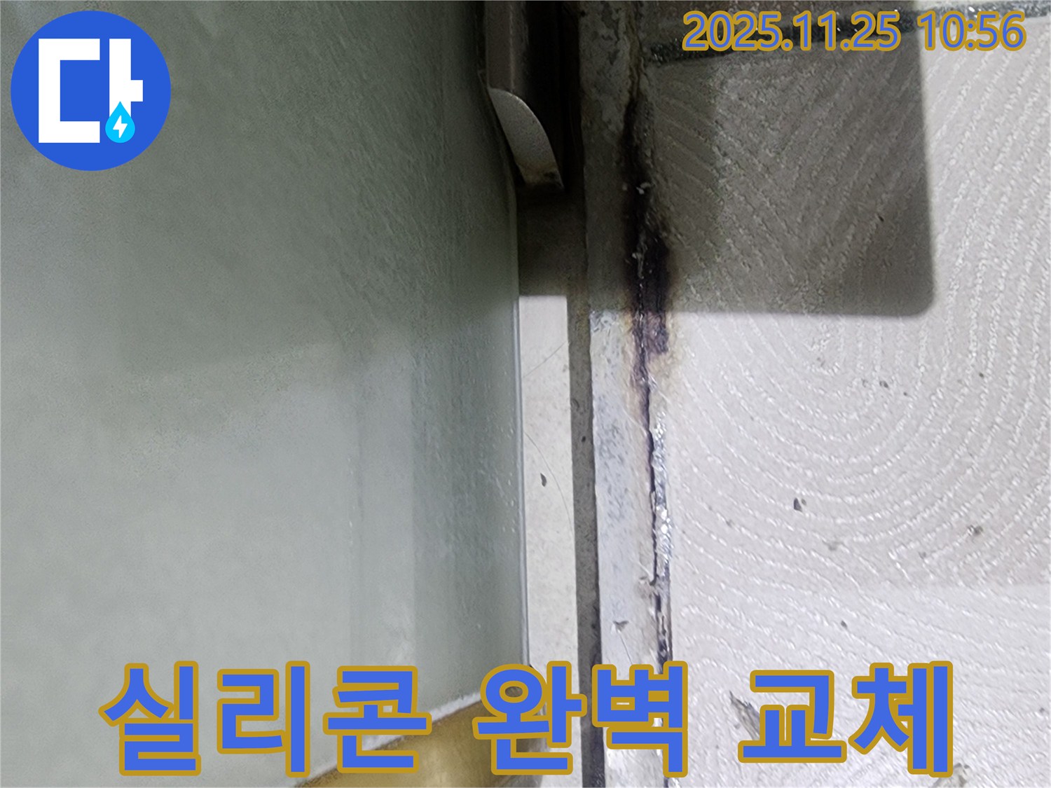 샤워부스 곰팡이 실리콘 제거 - 완벽 교체 시공