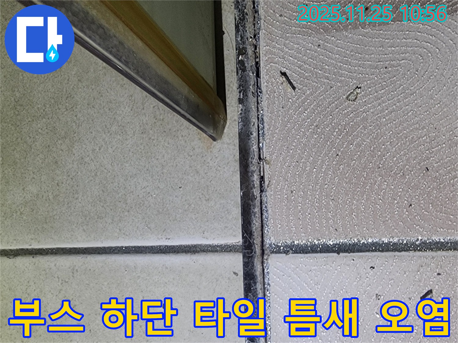 샤워부스 하단 타일 틈새 오염 - 곰팡이와 물때 - 누수 해결 전문가