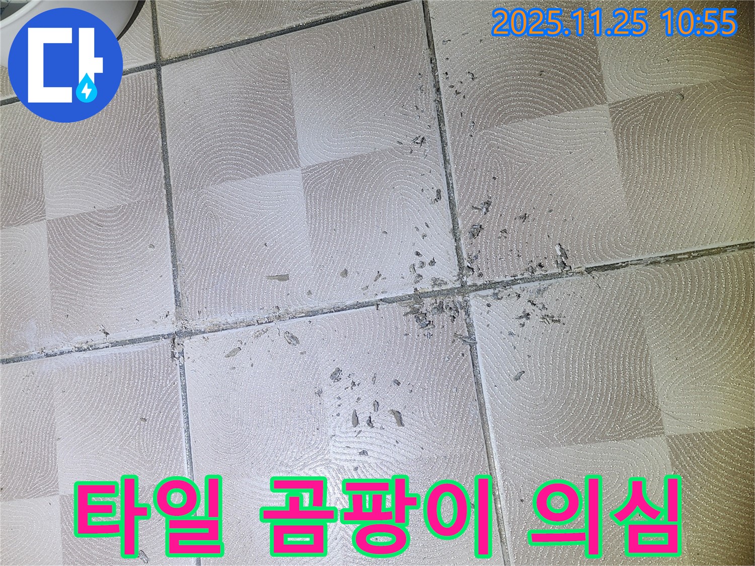 센트럴타운로 아파트 - 깨진 타일과 곰팡이 냄새는 누수 의심 1순위 증상입니다 - 이의동 누수