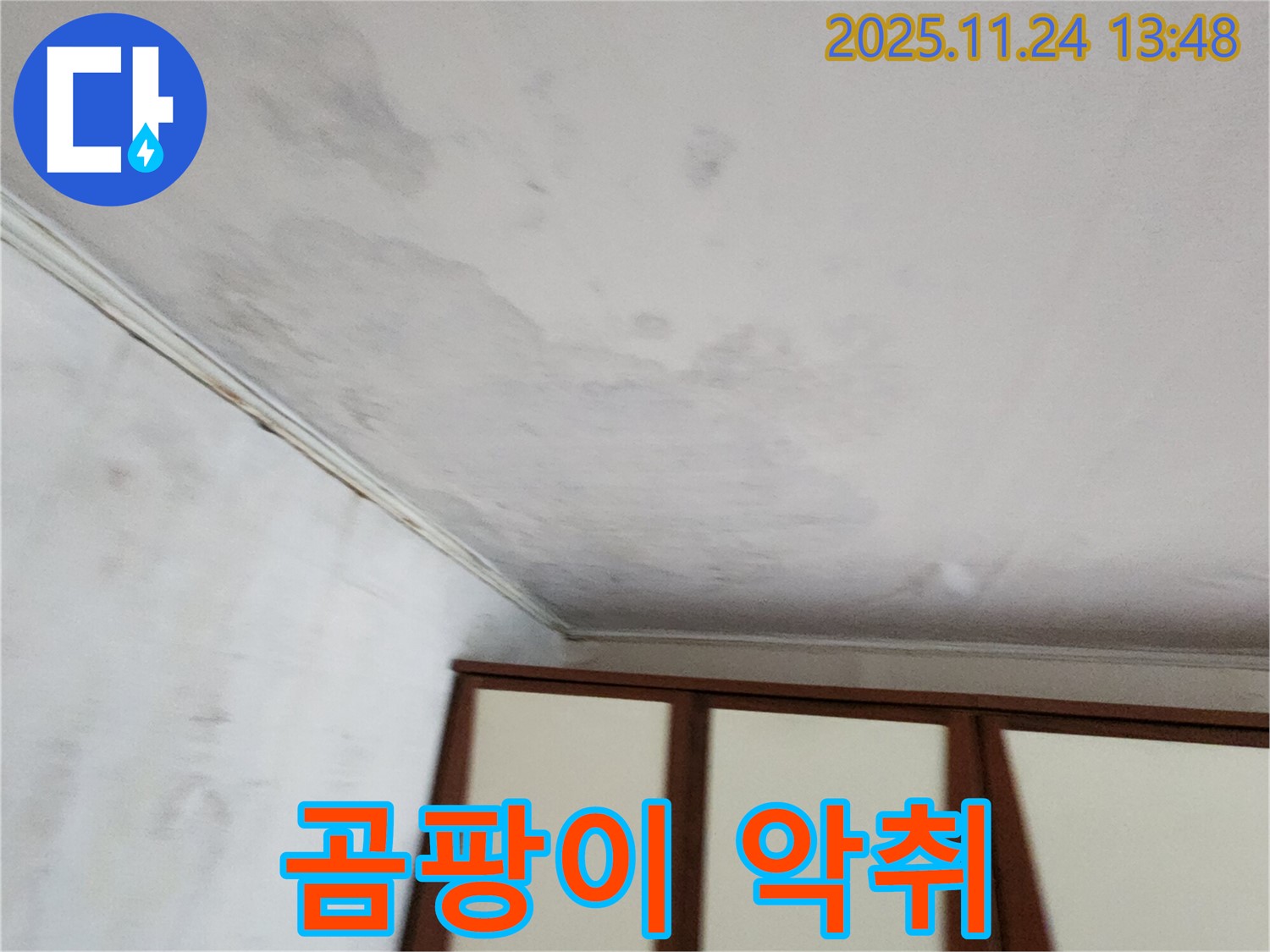 가산면 마전리 주택 - 곰팡이 핀 천장, 악취 진동