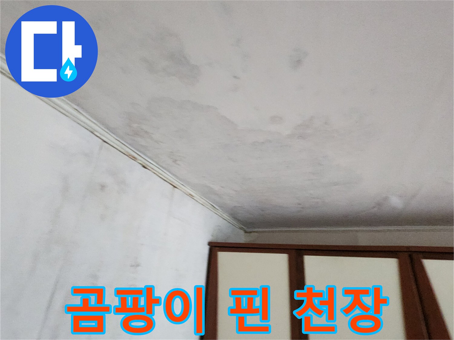 거실 천장 부위의-심각한 곰팡이와 습기 오염