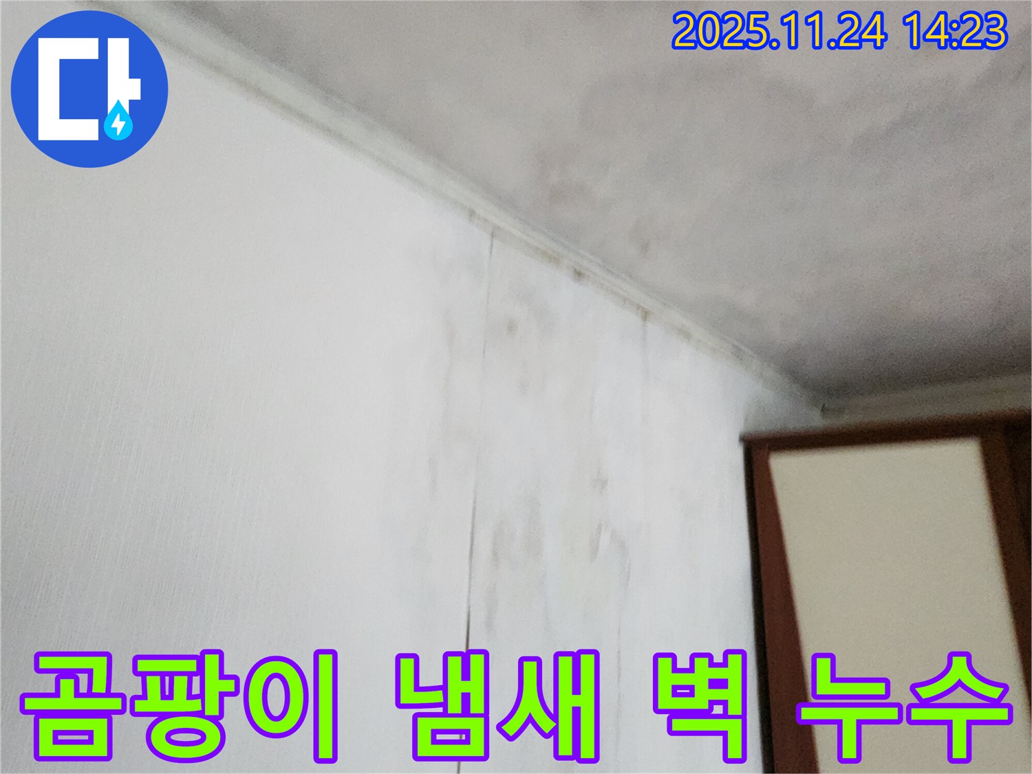곰팡이 냄새 - 누수와 함께 곰팡이가 발생하여 불쾌한 냄새가 나는 상황입니다. 누수 해결과 곰팡이 제거가 시급합니다.