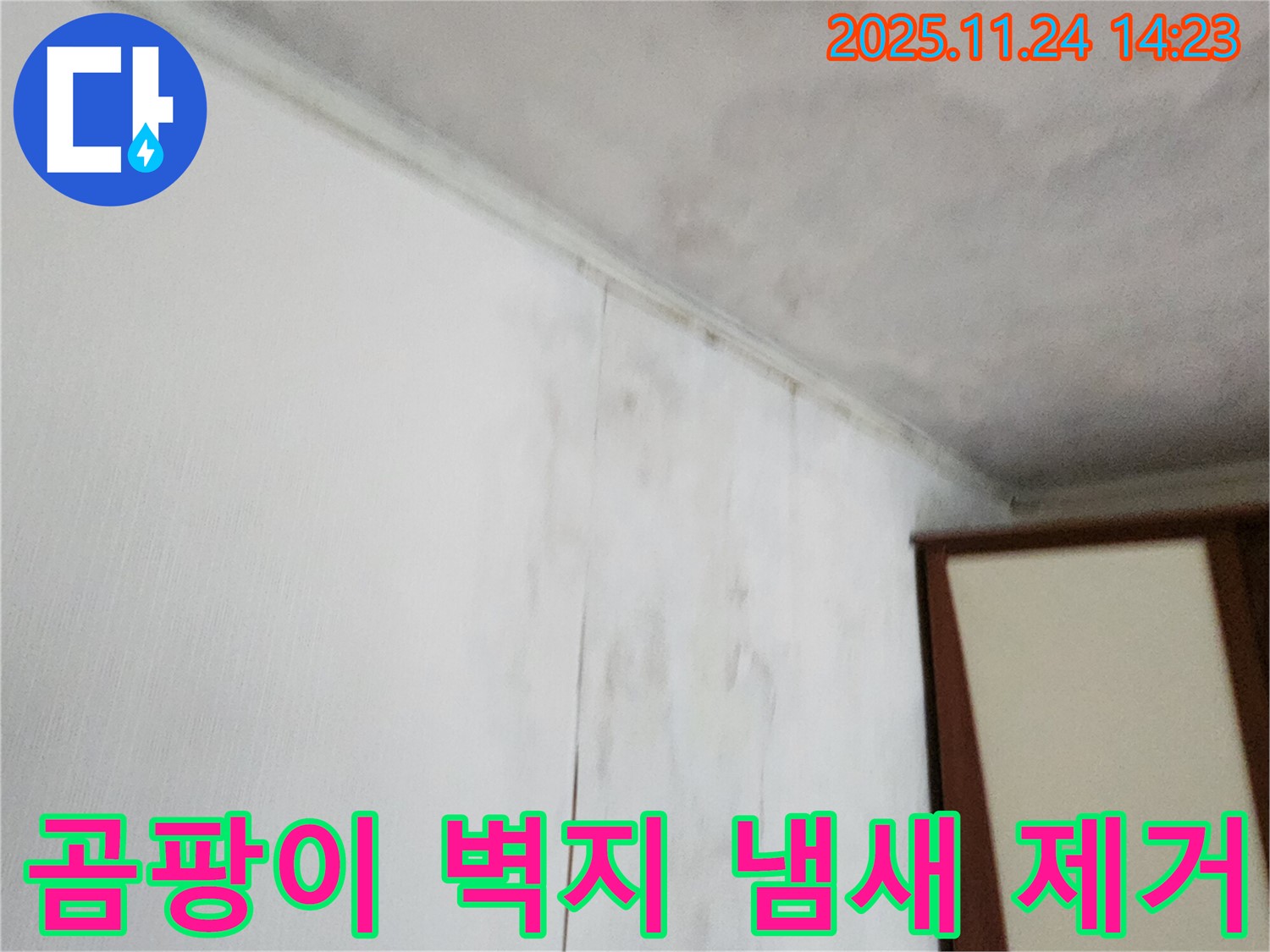 곰팡이 핀 벽지 - 곰팡이 냄새 - 누수로 인해 곰팡이가 발생하고 냄새가 나는 상황입니다 - 누수 해결과 냄새 제거가 필요합니다.