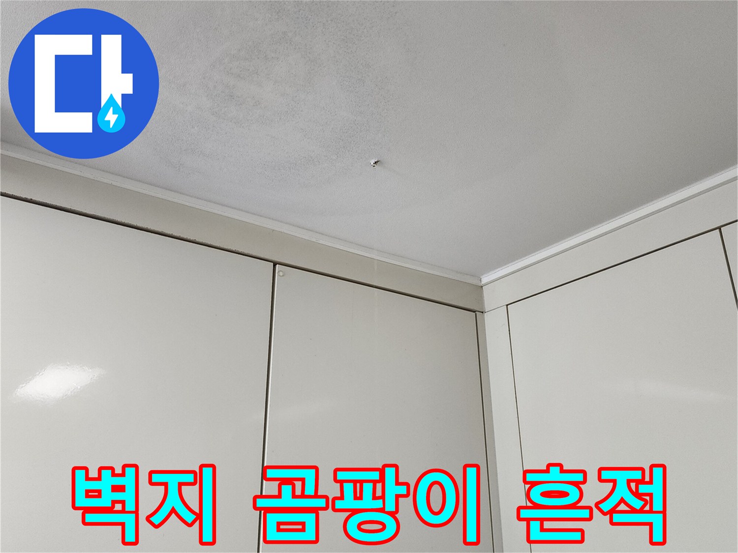 습기로 인해 발생한 천장 벽지의 곰ธิบาย 및 변색 부위
