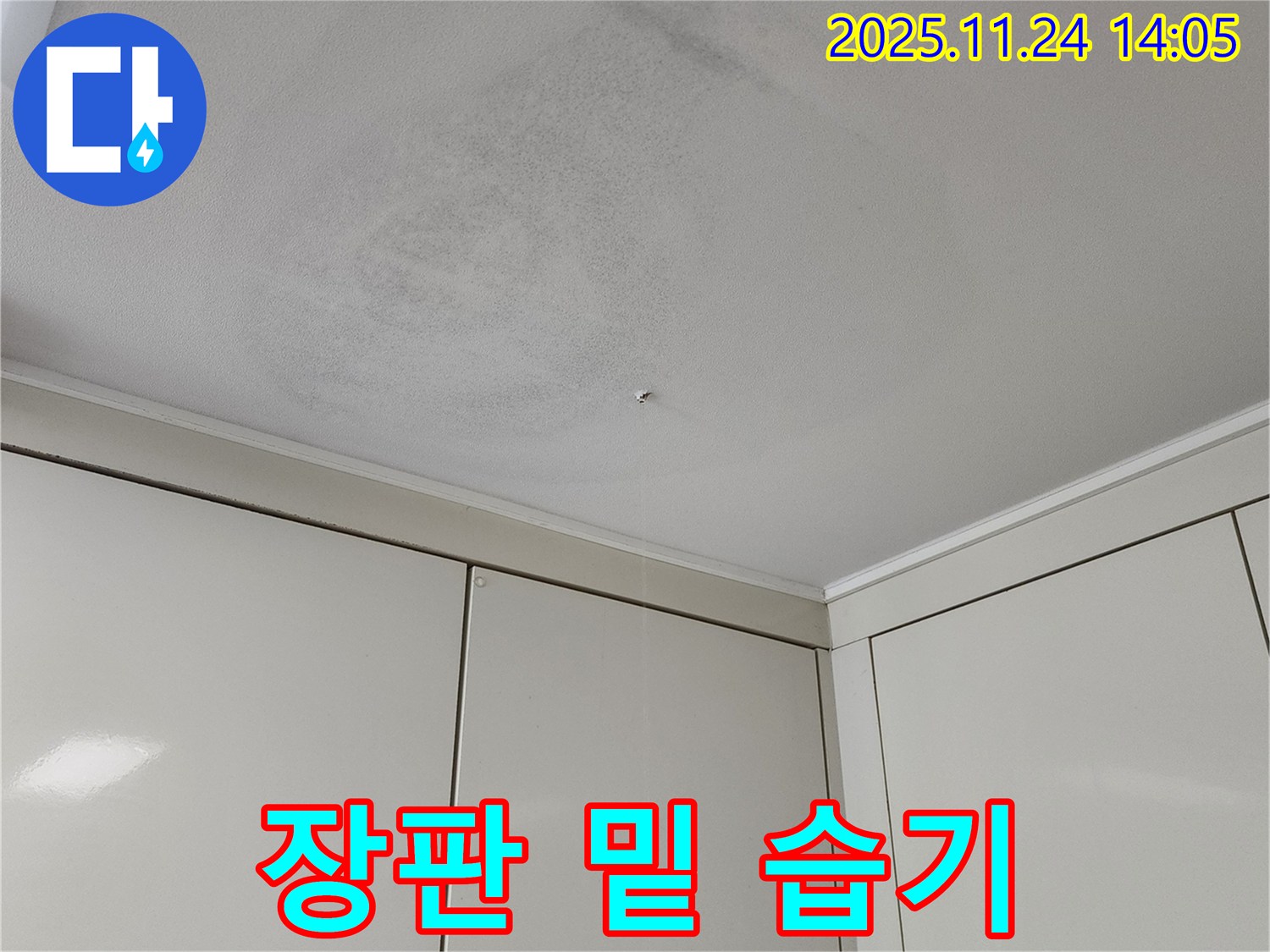 장판 밑 습기 - 누수로 인해 장판 밑에 습기가 차 있는 모습