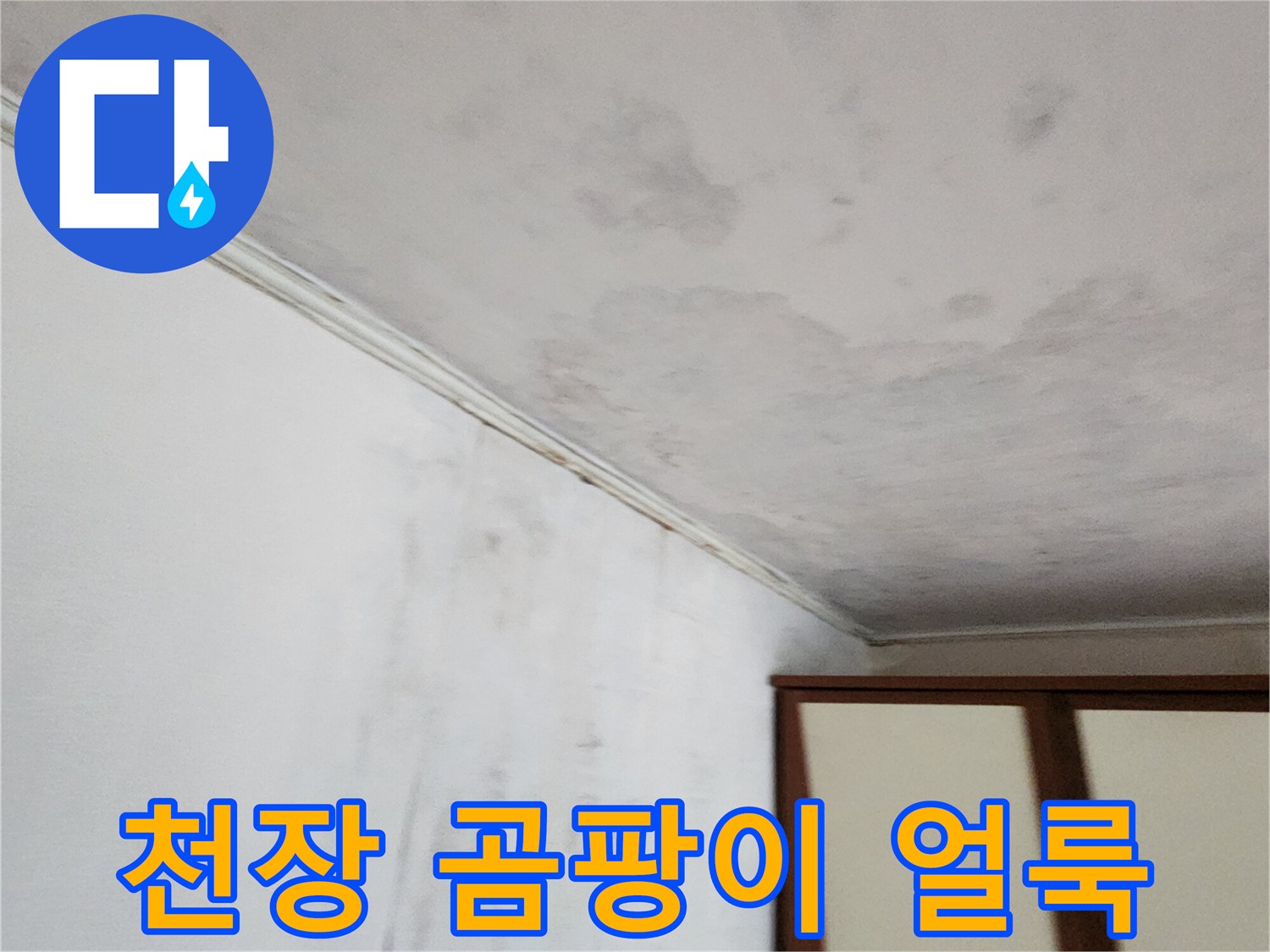 천장-벽지-부위의-광범위한-곰팡이와-물자국
