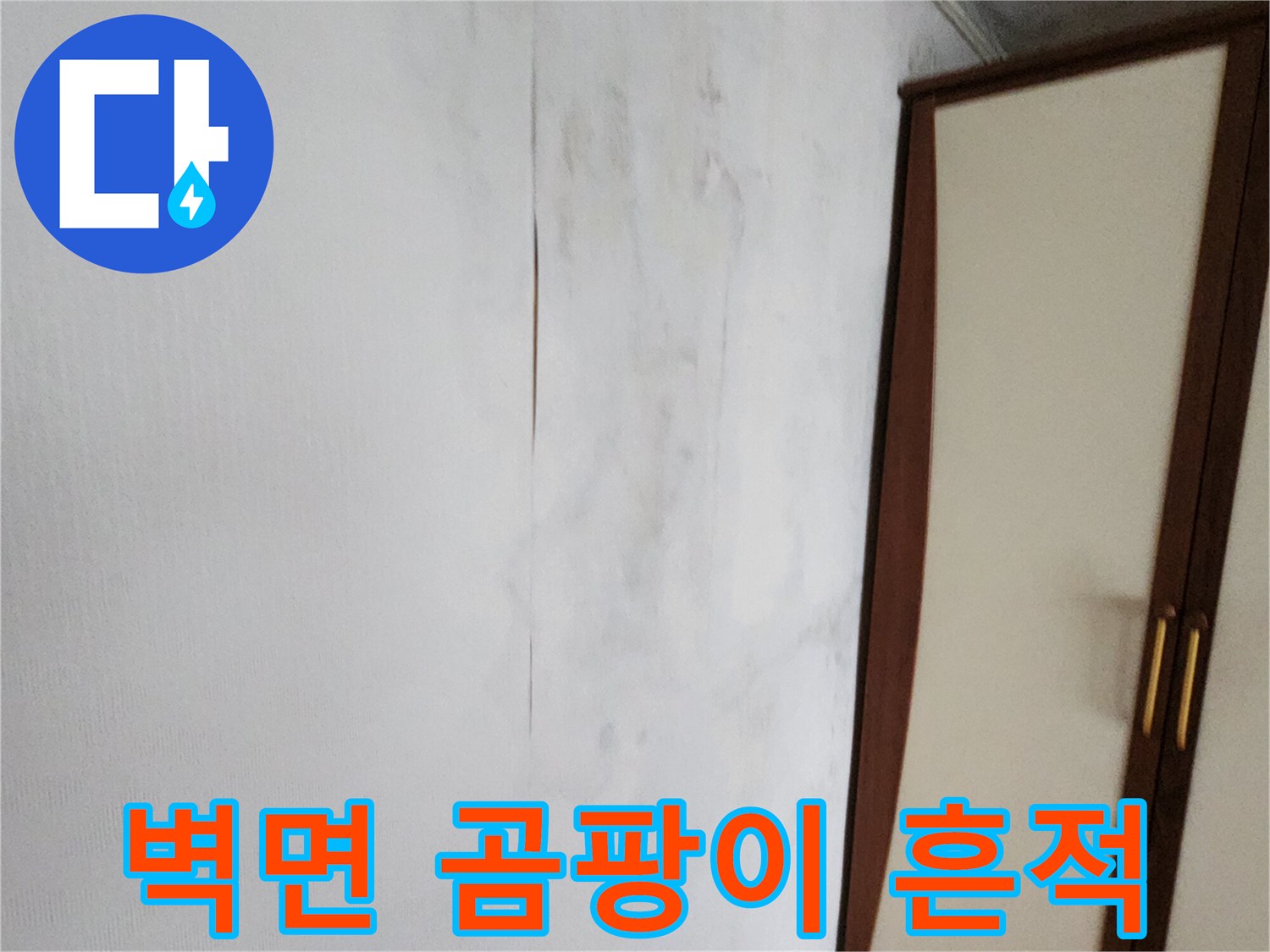 포천 가산면 현장의 벽면 곰ey 곰팡이와 변색된 벽지 상태