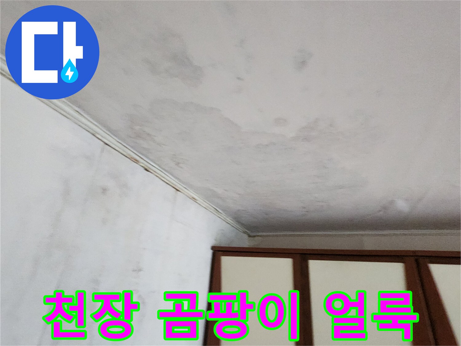 포천 가산면 현장의-천장 벽지 변색 및 곰팡이 상태
