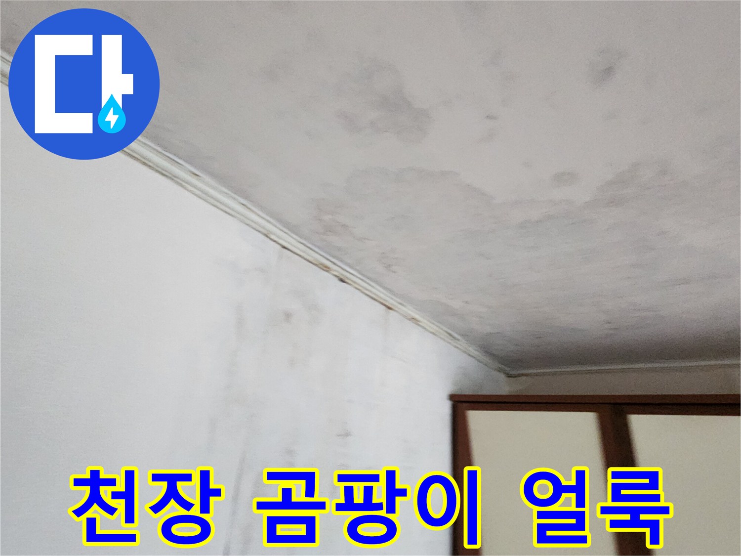포천 가산면 현장의 천장 벽지 오염 상태를 보여주는 사진입니다.