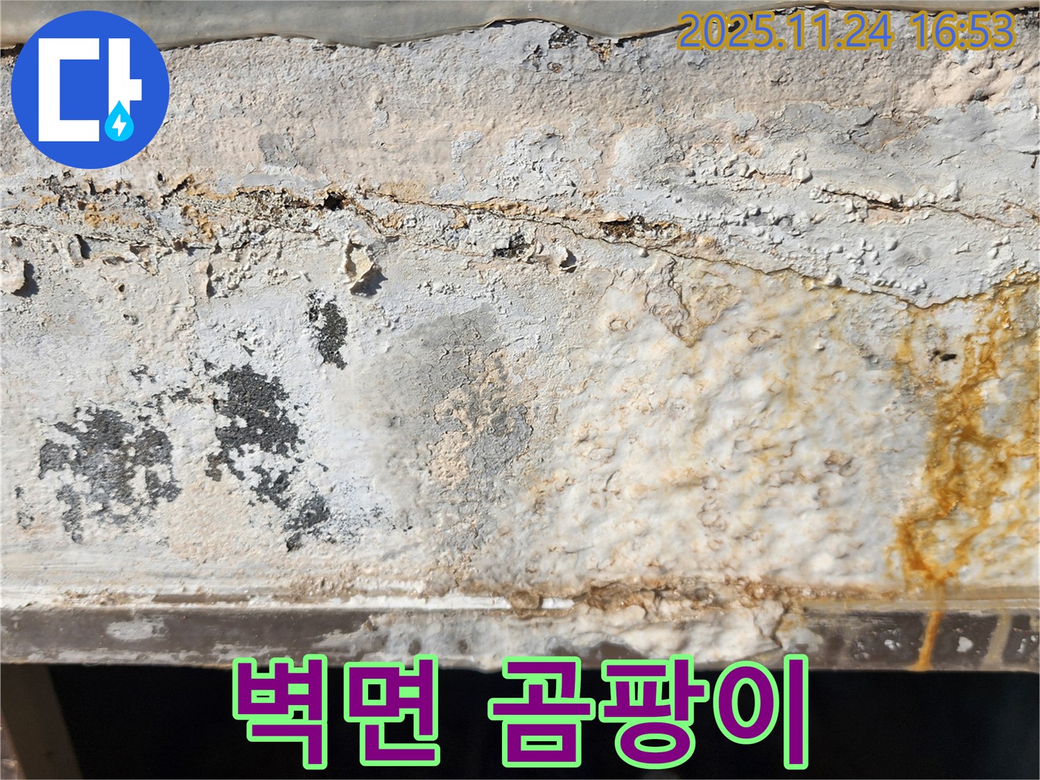 건물 외벽의 곰팡이 - 누수로 인해 벽면에 곰팡이가 심하게 발생한 모습입니다. - 곰팡이는 건강에 해로운 영향을 미칠 수 있습니다.