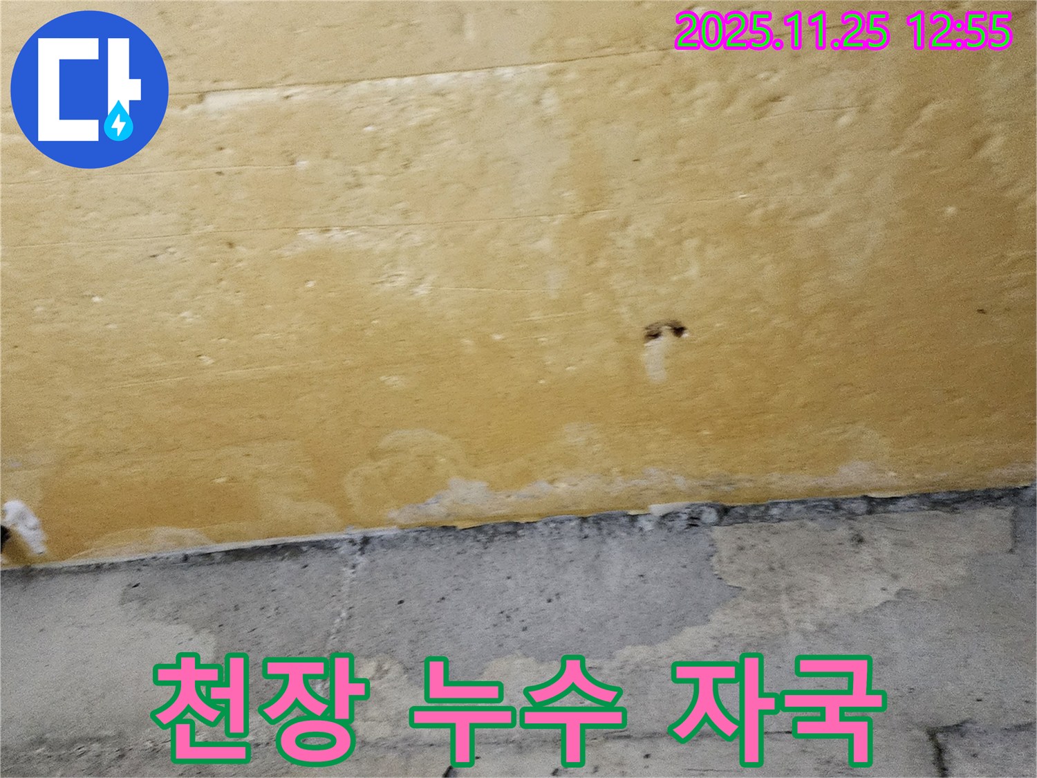 천장 누수 자국 - 곰팡이 발생 가능성 - 습기 제거 중요