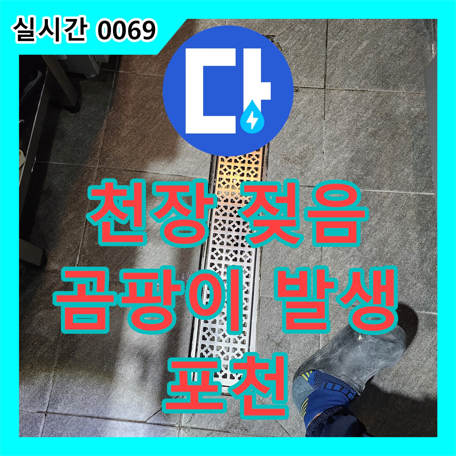 포천 누수탐지, 천장 젖음과 곰팡이, 신속한 탐지가 중요