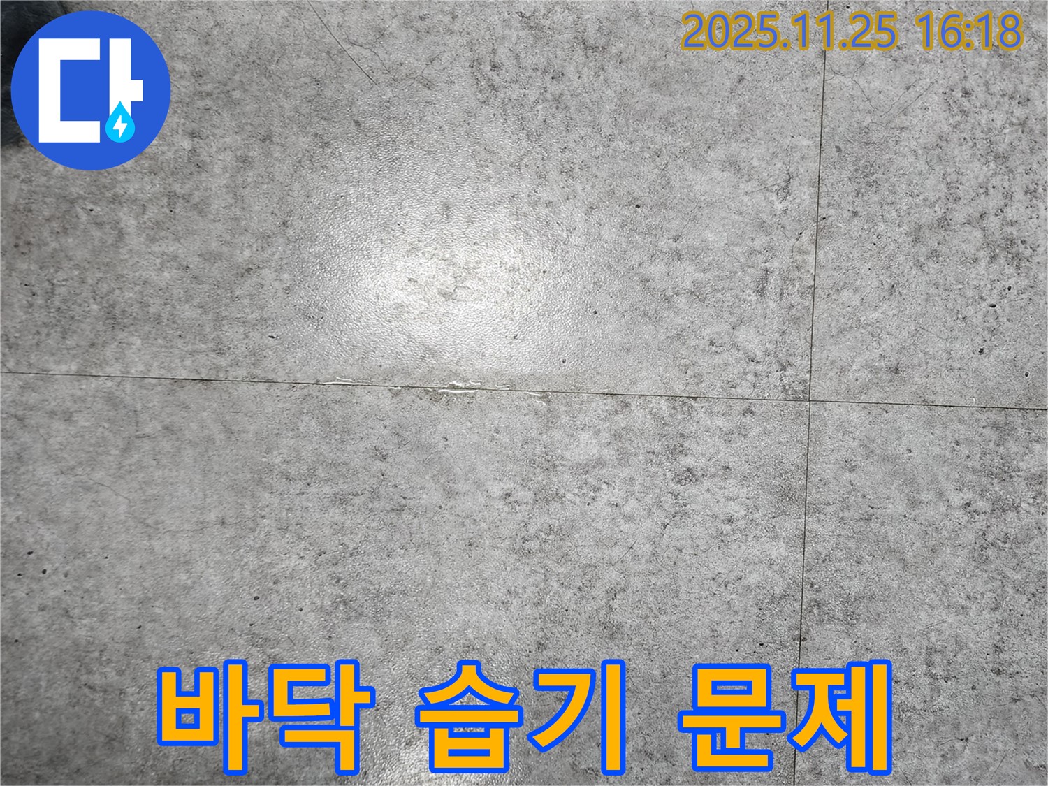 포천시 신북면에서 콘크리트 바닥에 습기가 찬 모습 - 습기와 누수의 증거입니다.