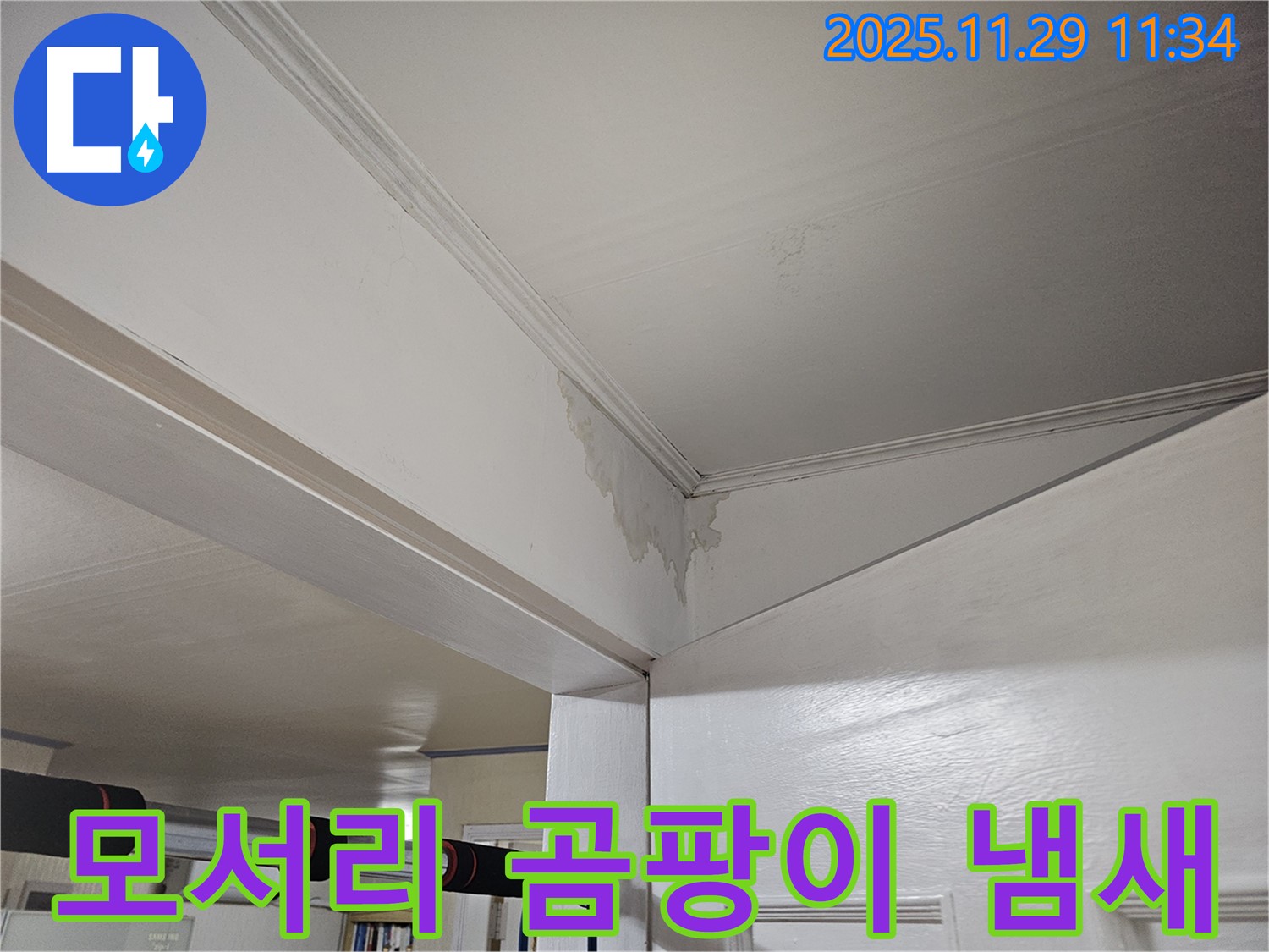 광탄 천장 누수 - 모서리 곰팡이, 곰팡이 냄새 원인까지 확실하게 제거!