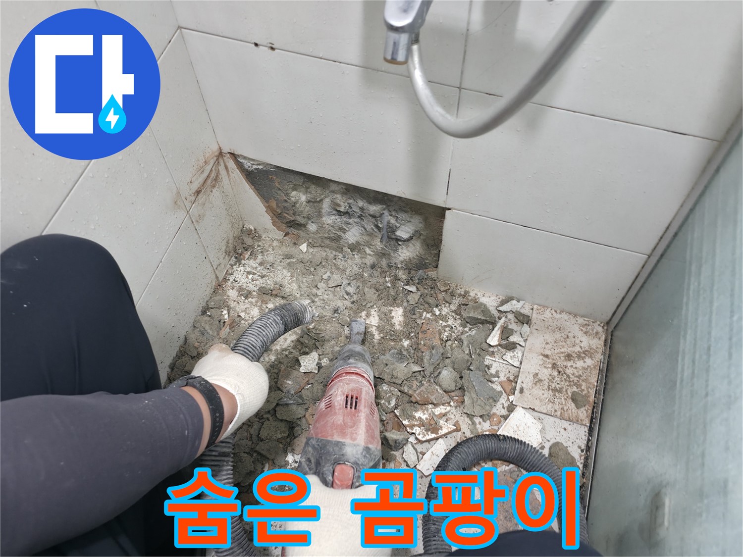 깨진 타일 제거 후 숨겨진 곰팡이 발견 - 습한 환경