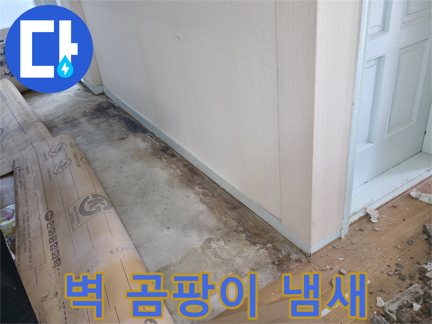 방배동 누수 - 벽 하단 곰팡이, 퀴퀴한 냄새 - 건강에 적신호가 켜졌습니다.