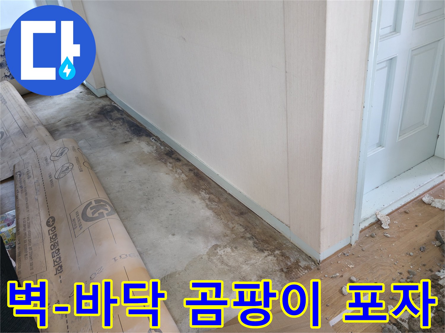 방배동 누수 - 벽과 바닥에 곰팡이가 핀 모습, 곰팡이 포자 확산으로 건강을 위협합니다.