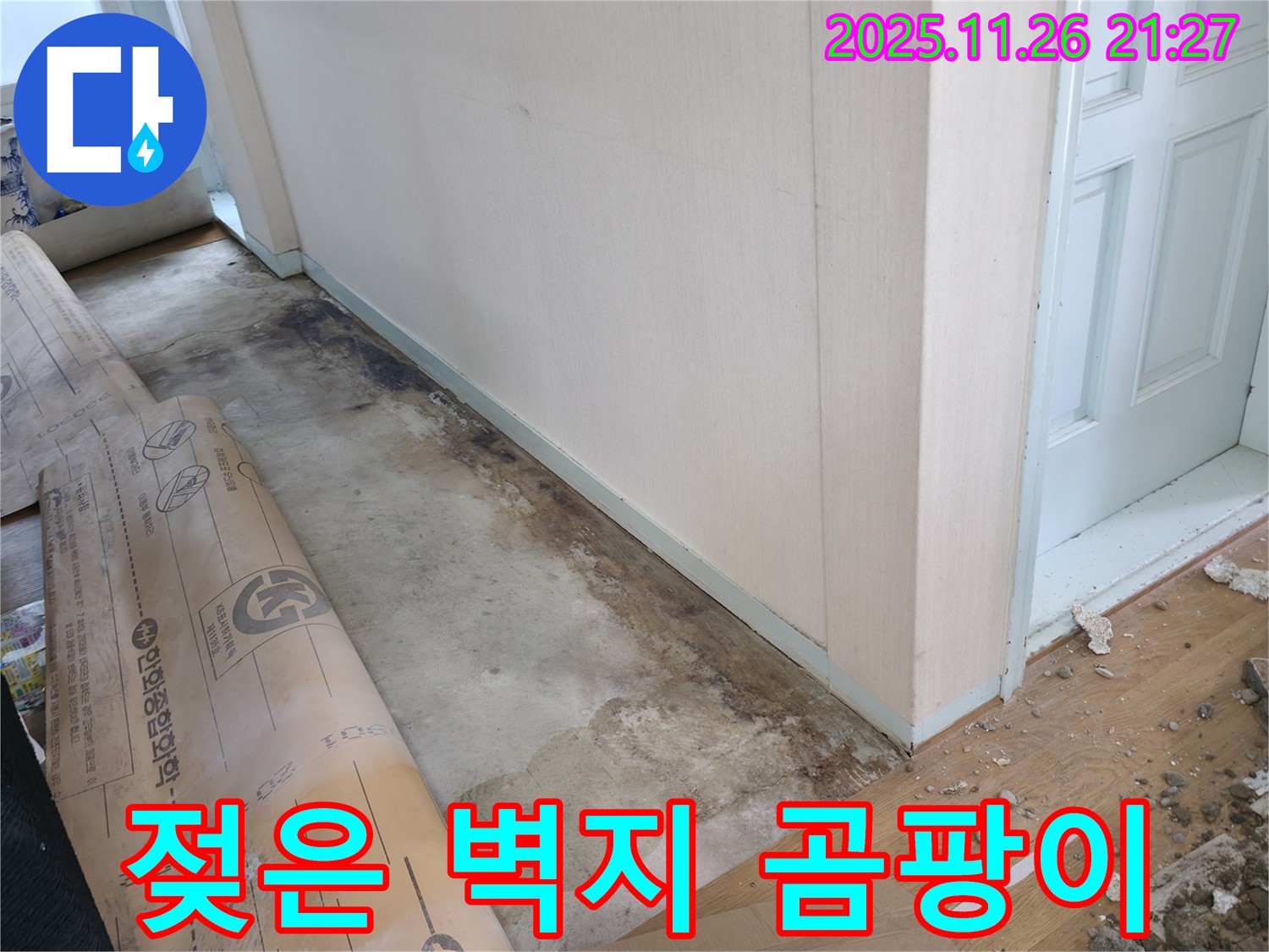 방배동 누수 - 젖은 벽지에 곰팡이가 번식, 곰팡이 포자 번식으로 건강에 위협을 줍니다.