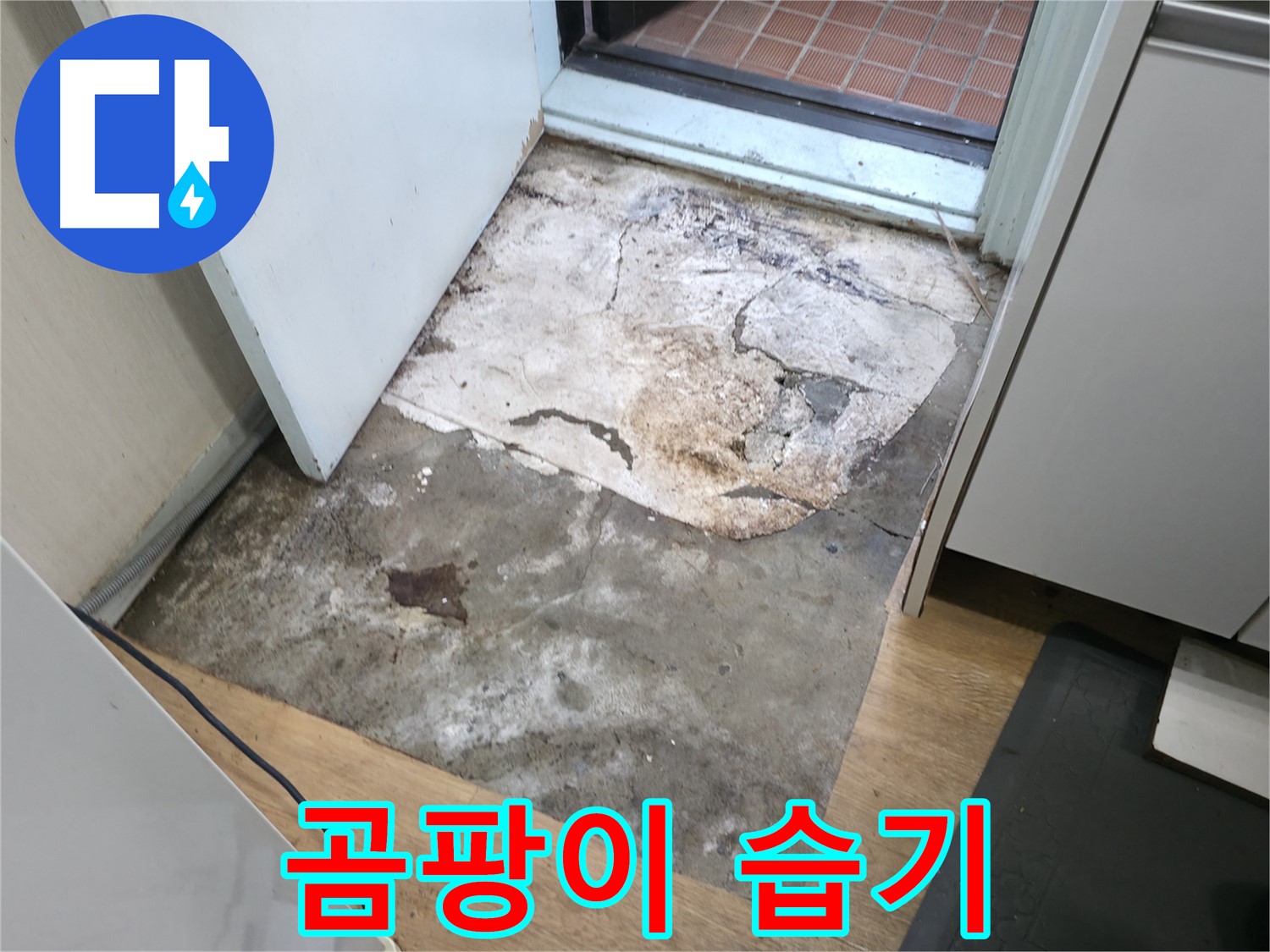 방배동 명달로4길 빌라 누수 - 곰팡이와 습기로 덮인 현관 - 누수 긴급 차단이 필요합니다