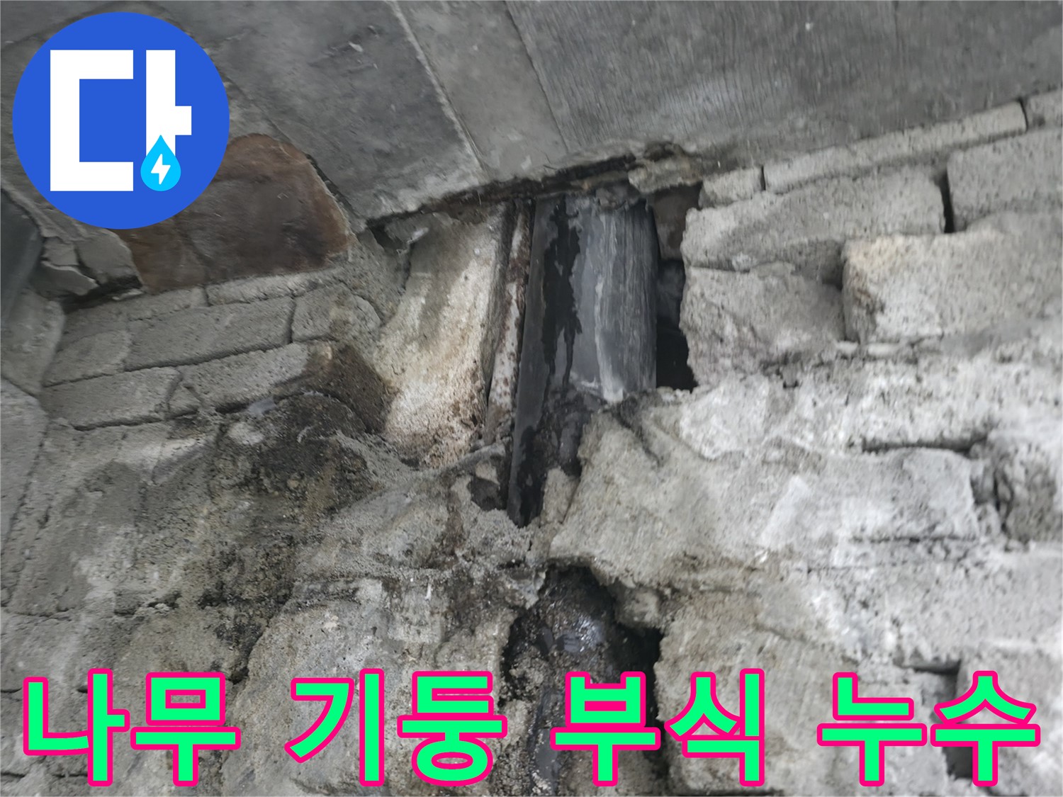 벽 속 나무 기둥 부식으로 인한 누수 - 나무 기둥이 썩어 물이 새고 있고, 곰팡이가 번식하고 있습니다.