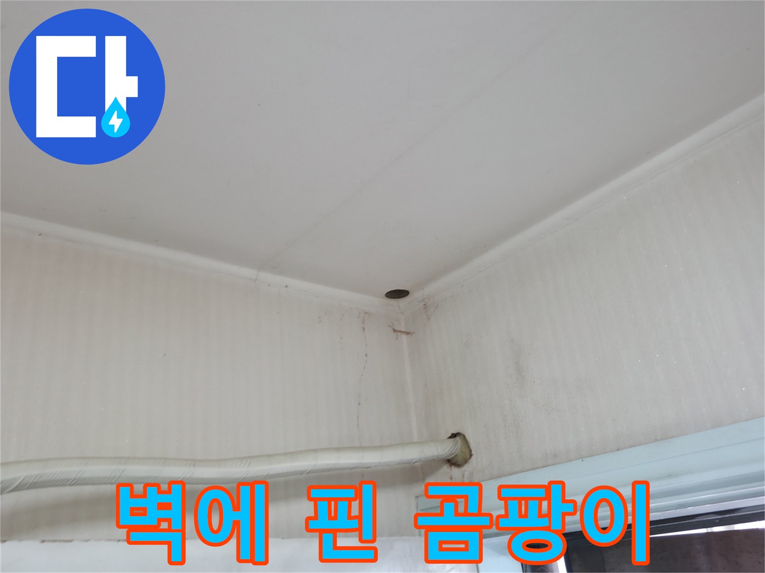 서초구 서초4동 누수 - 장판 밑에 곰팡이가 피고 습기가 가득하다면 - 바닥 누수를 의심해 보세요!