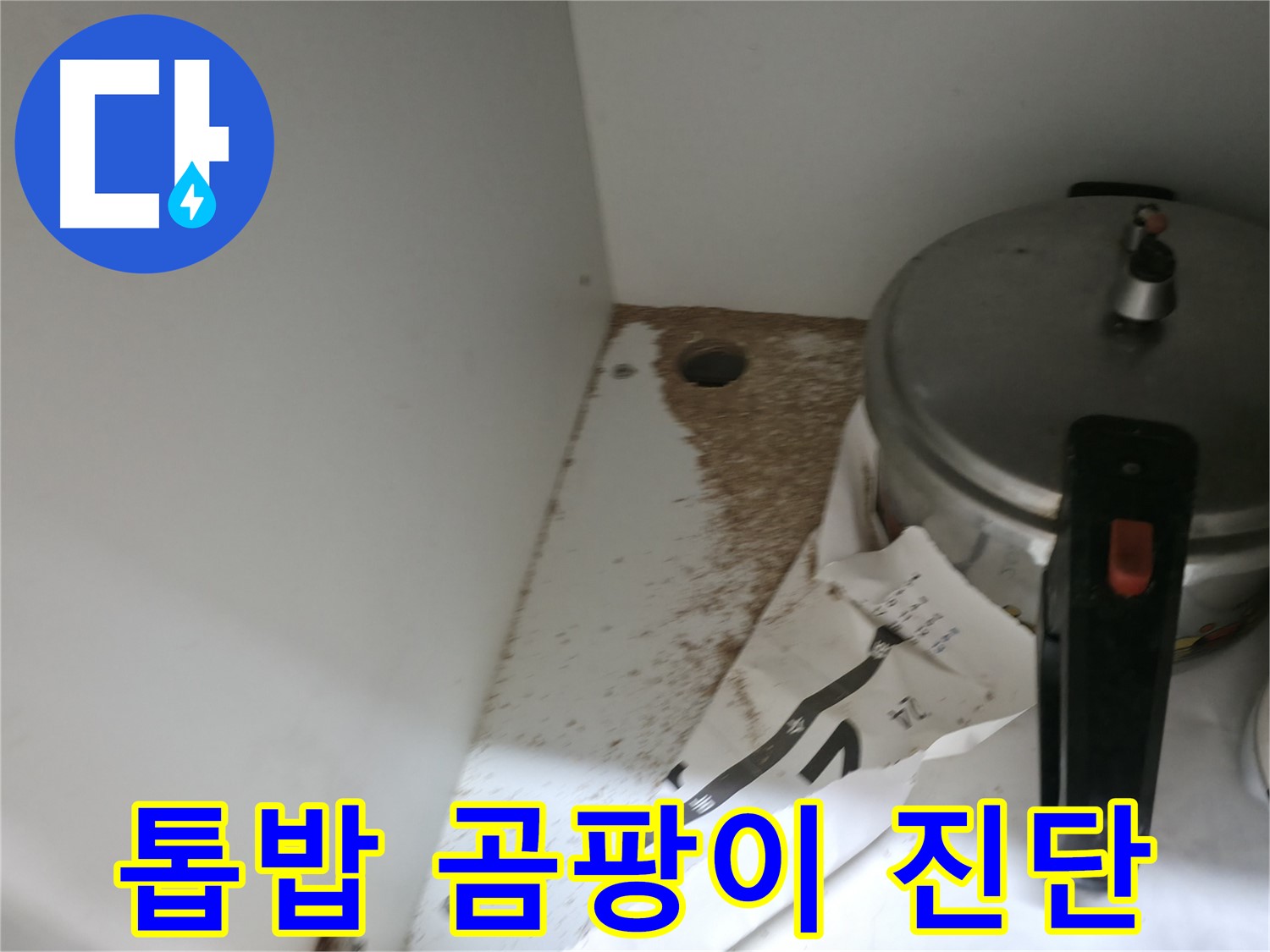 싱크대 하부 - 톱밥 - 정확한 진단 - 완벽한 시공