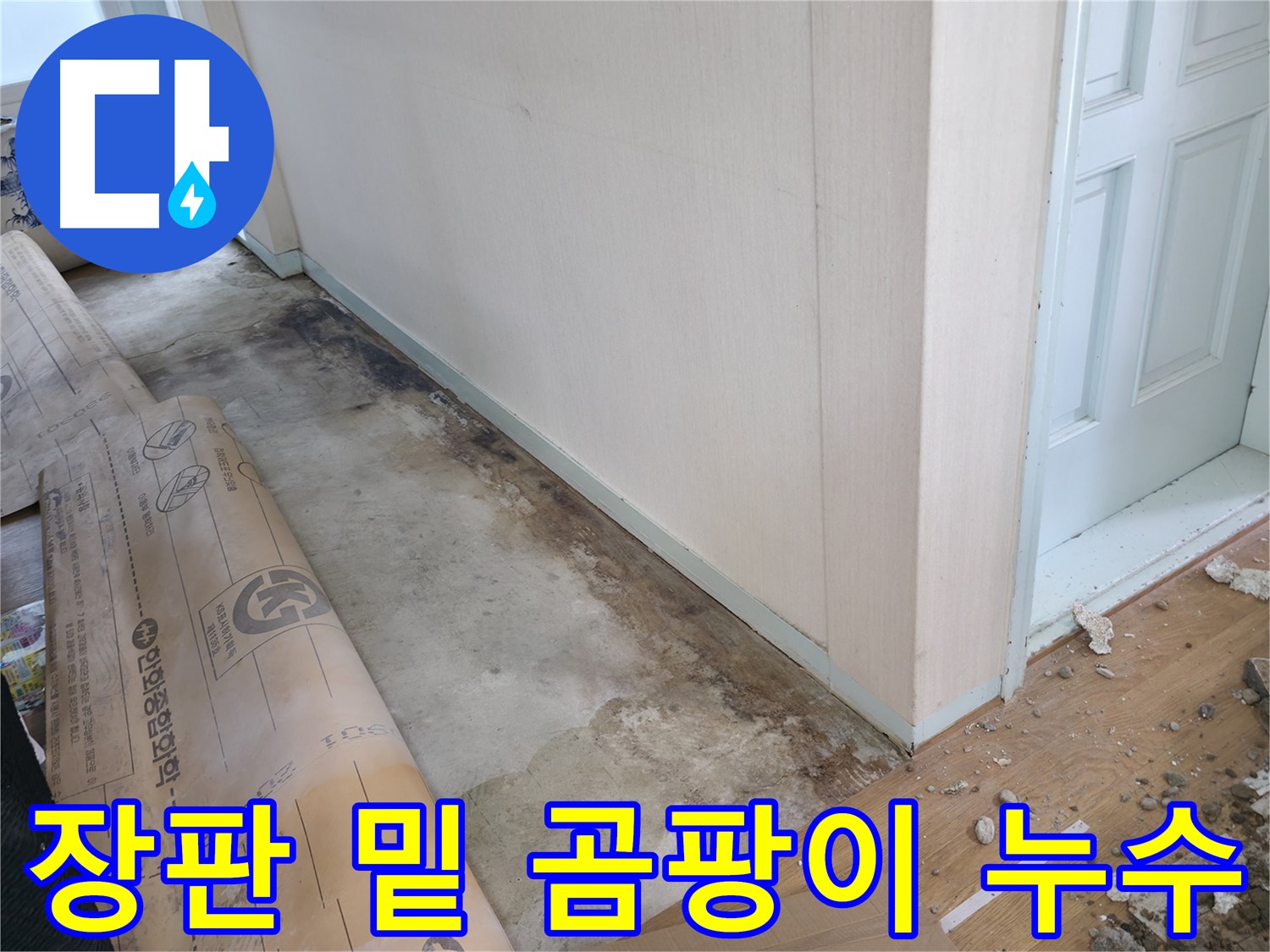 방배동 누수 - 장판 끈적임, 누수 신호일 수 있으며 곰팡이 번식을 유발합니다 - 정밀 진단이 필요합니다.