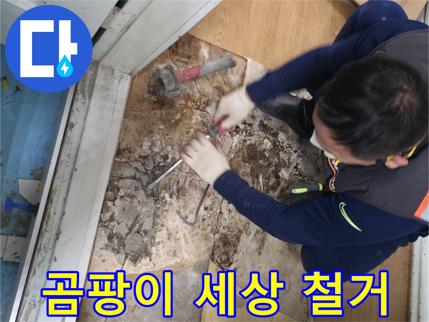 서초구 명달로4길 50 누수 - 곰팡이 세상 철거
