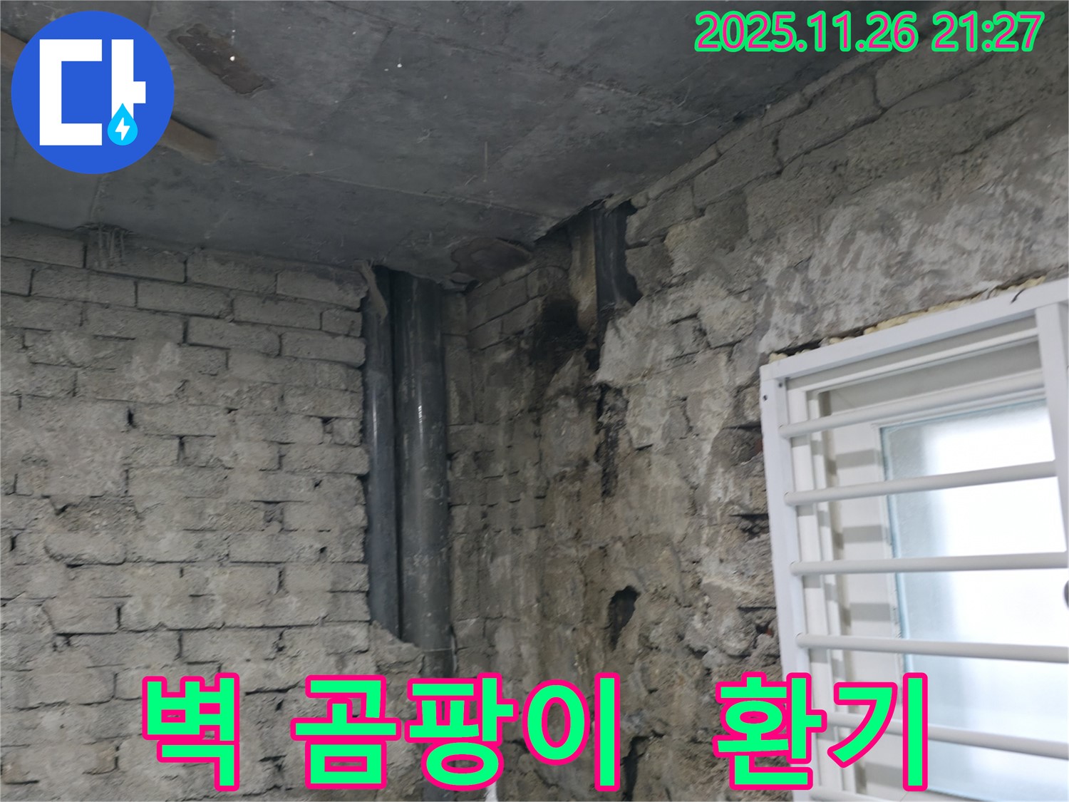 서초구 명달로4길 - 건물 내부 벽 곰팡이 - 누수와 환기 문제 복합 진단 - 곰팡이 발생 원인 분석