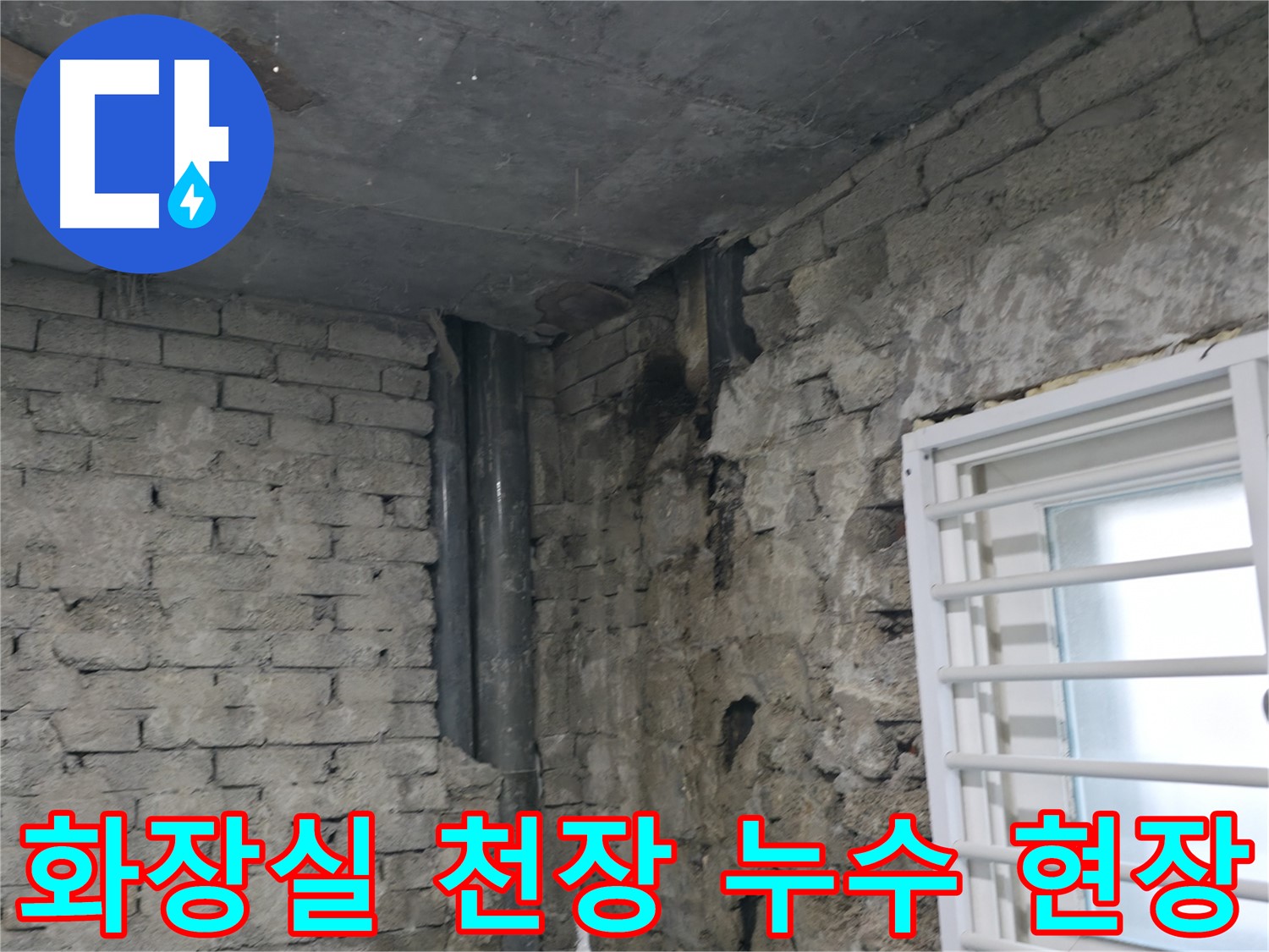 서초구 방배동 화장실 천장 누수 현장 - 누수 전문가의 긴급 점검 및 해결 과정