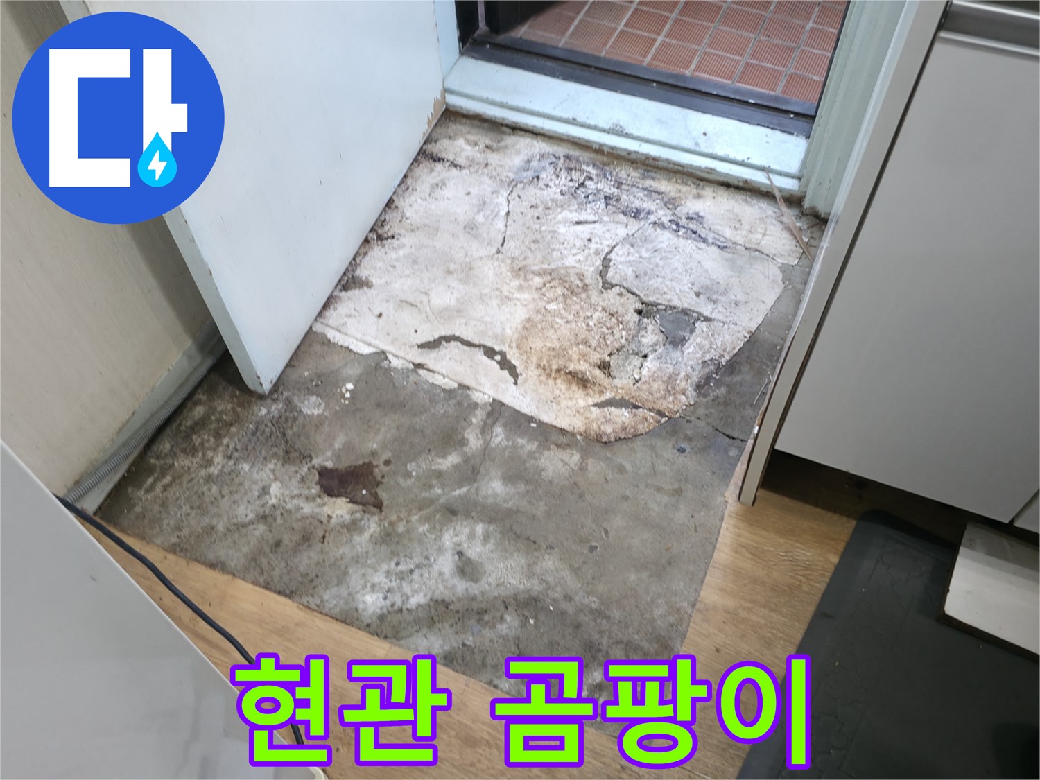 서초구 서초2동 누수 - 곰팡이가 심하게 핀 현관 바닥 - 건강을 위협하는 누수