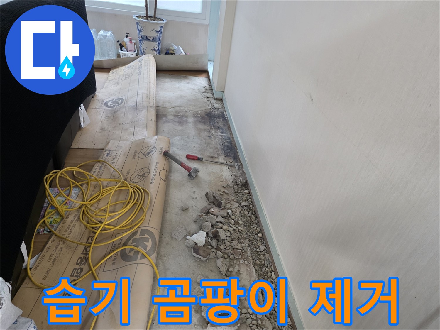 방배동 아파트 누수 현장에서 누수 원인을 찾아 해결하는 전문적인 과정