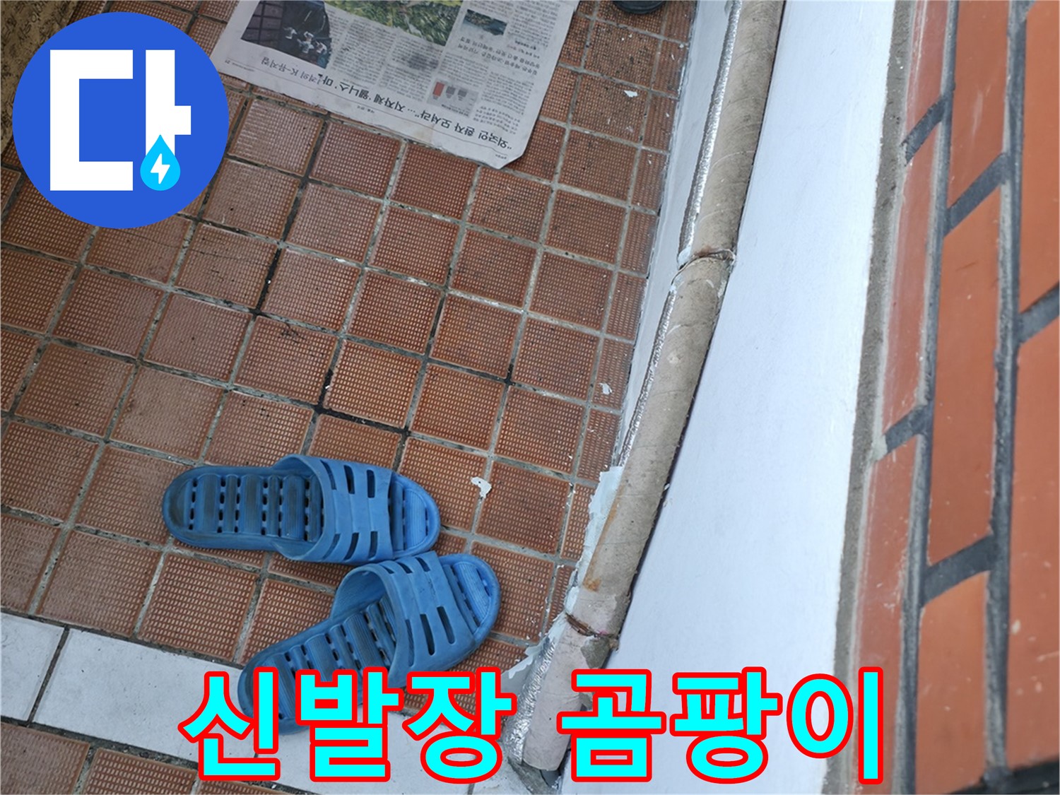 서초구 서초2동 누수 - 현관 신발장 뒤 곰팡이는 숨겨진 누수 원인이 있을 수 있습니다